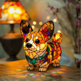 Corgi Radiante